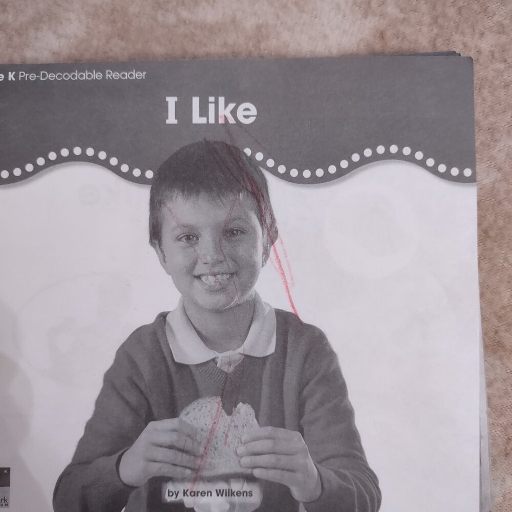StartUp Phonics, Grade K Pre-Decodable Reader Mixed Kids Books (Selling As Is)